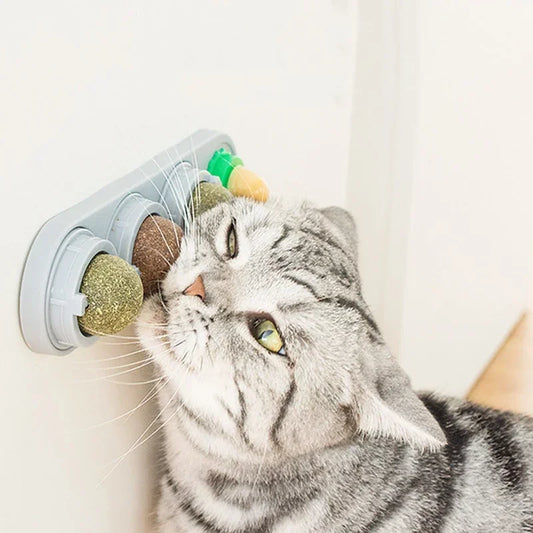 4 in 1 Rotating Catnip Silver Vine Ball - ProPawPet.com