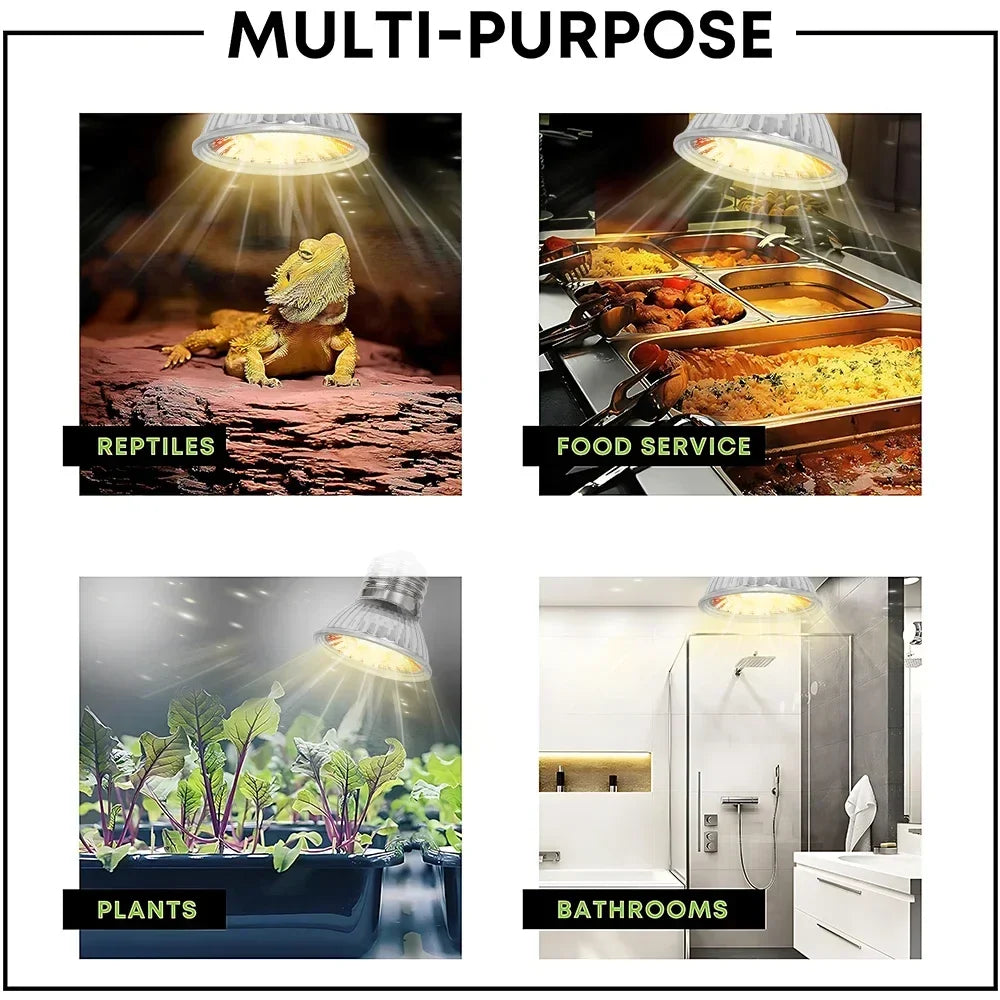 25/50/75W UVB Reptile Lamp Bulb Tortoise - ProPawPet.com