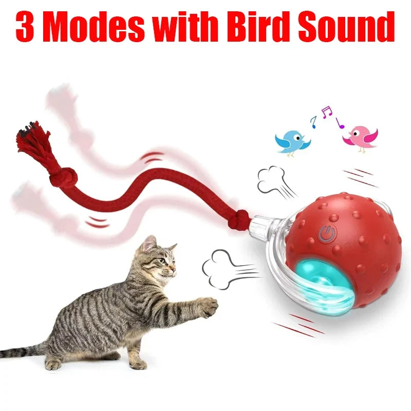 Interactive Cat Toy Ball with Bird Chirping - ProPawPet.com