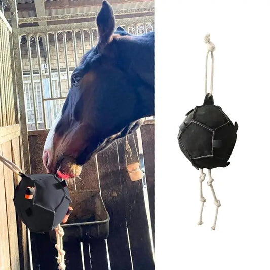 Horse Enrichment Toys Interactive Training - ProPawPet.com