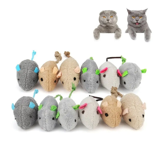 2pcs Random Color Interactive for Kitten - ProPawPet.com