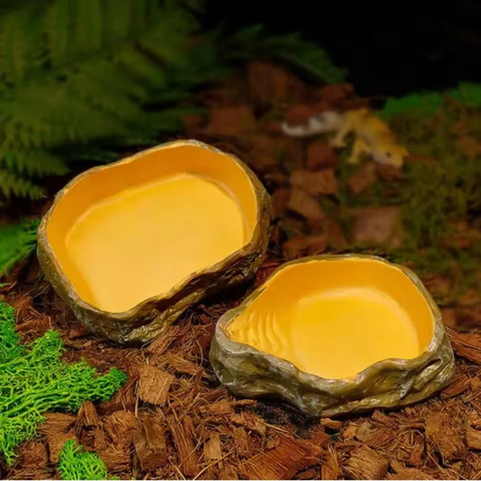 1PC Climbing Style Reptile Feeding Bowl, - ProPawPet.com
