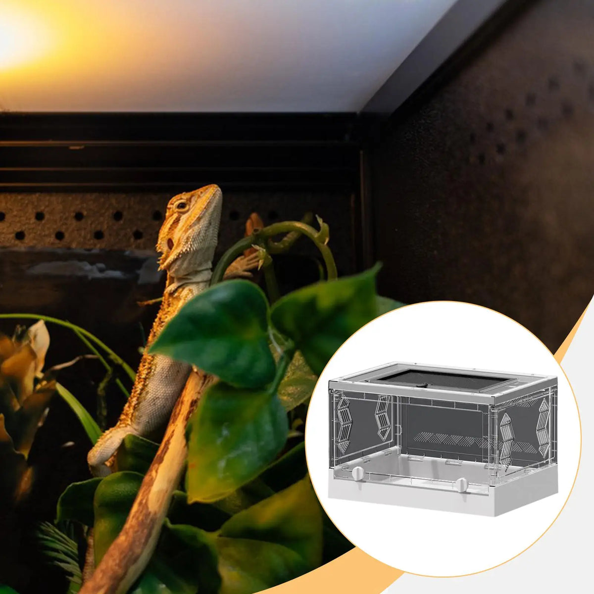 Mesh Transparent Foldable Reptile Terrarium – 3 Colors