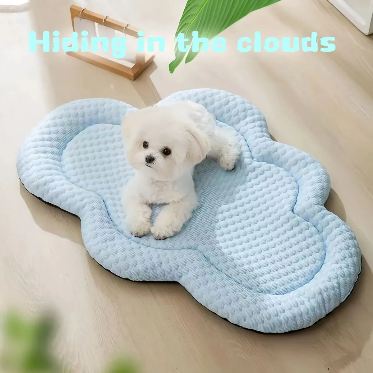 Cooling Mat Dog Accesories Summer Kennel - ProPawPet.com