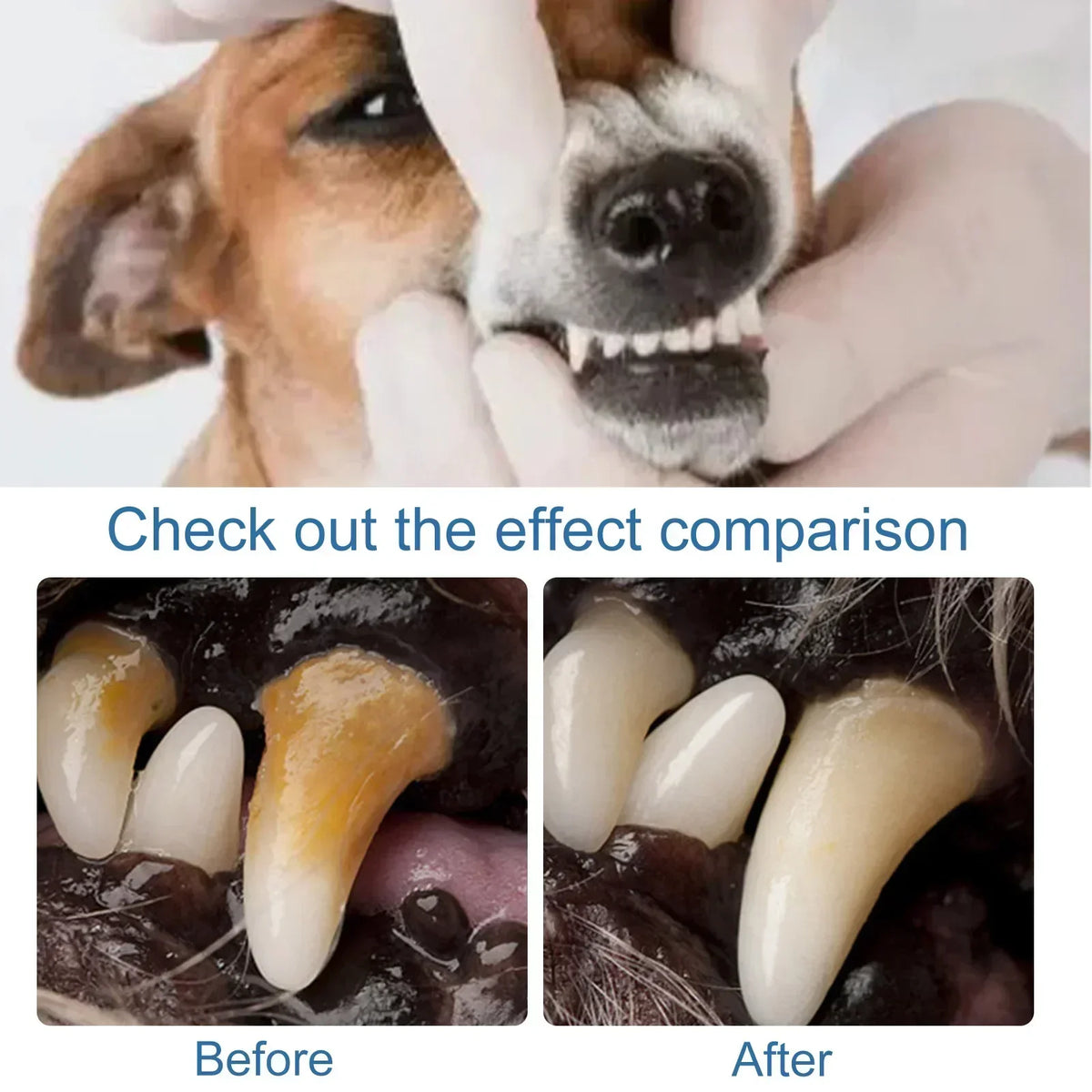 Pet Tartar Remover Natural Plaques Off & - ProPawPet.com