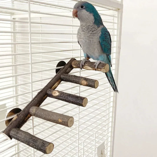 Natural Apple Wood Pet Parrot Raw Wood Fork - ProPawPet.com