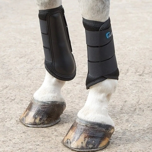 ARMA all-round horse leg protect Horse leg - ProPawPet.com