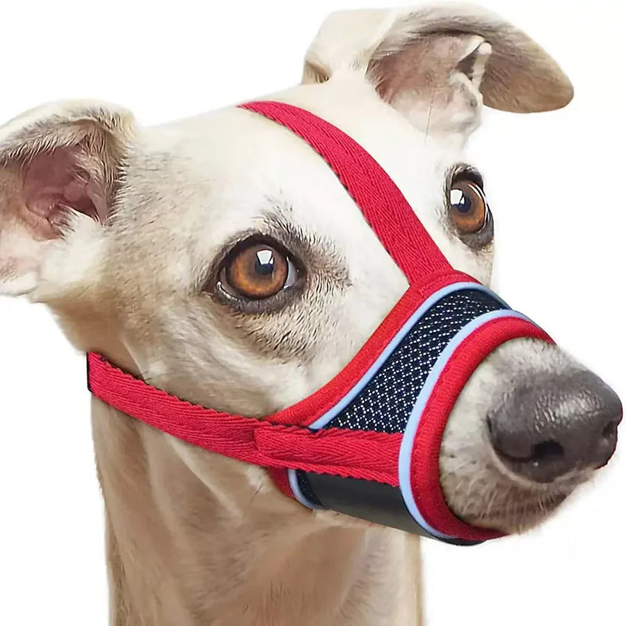 Dog Muzzle Breathable Drinkable Mesh Muzzle - ProPawPet.com
