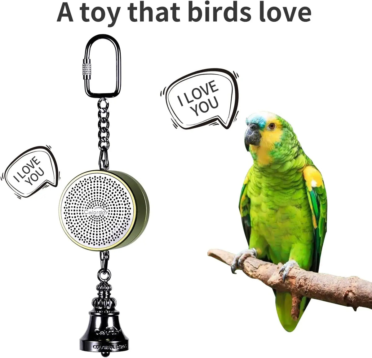 Parrot Toys to Teaching Training Bird - ProPawPet.com