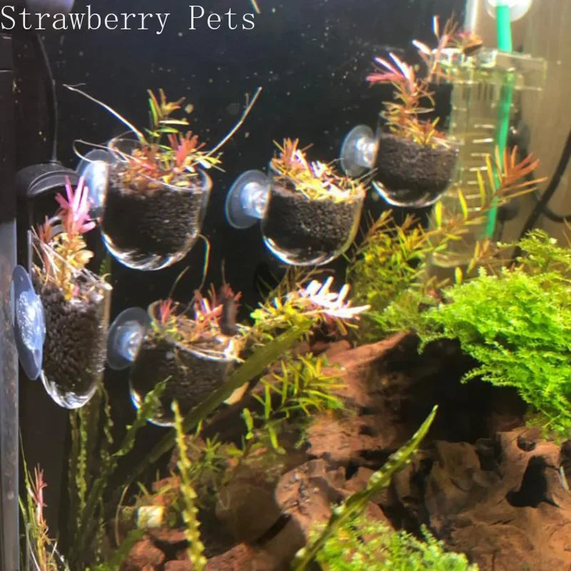 Aquarium Decoration Hanging Fish Tank Mini - ProPawPet.com