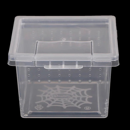 1pcs Plastic Feeding Acrylic Box Insect - ProPawPet.com