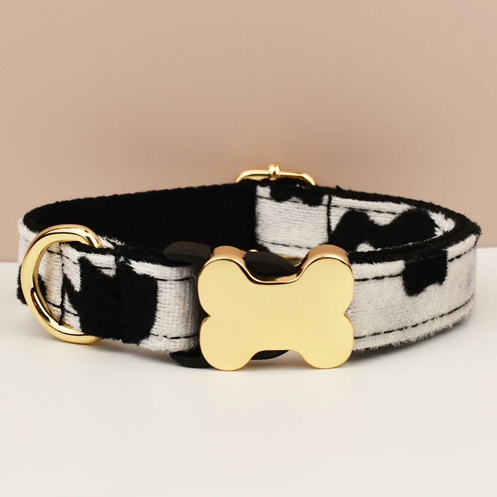 Premium Custom Engraved Dog Collar for Small - ProPawPet.com