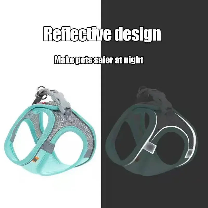 Cats Dog Accessories Small Dog Collar Safety - ProPawPet.com
