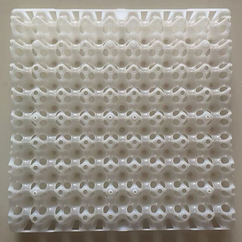 Plastic Quail Egg Tray, Pigeon Holder Bird Crate – 2 Colors