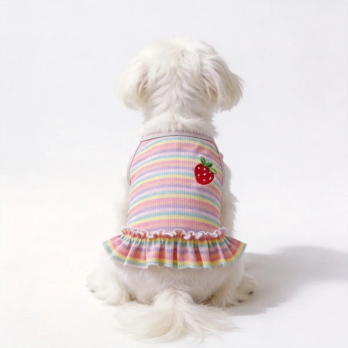New Rainbow Striped Pet Dog Cat Summer Ins - ProPawPet.com