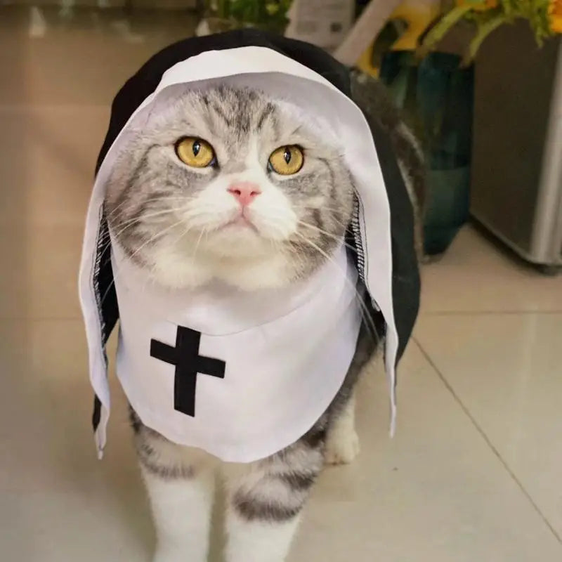 Three-Dimensional Modeling Nun Style - ProPawPet.com