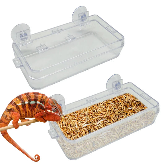 1/2PCS Reptile Feeder Bowl with Suction Cup - ProPawPet.com