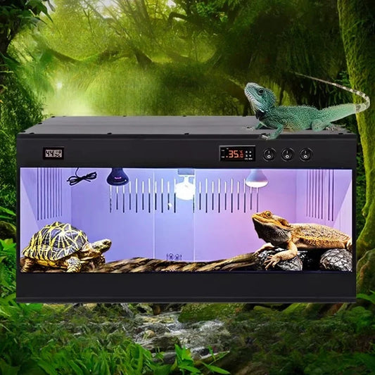 Reptile Feeding Box PVC Smart Temperature - ProPawPet.com