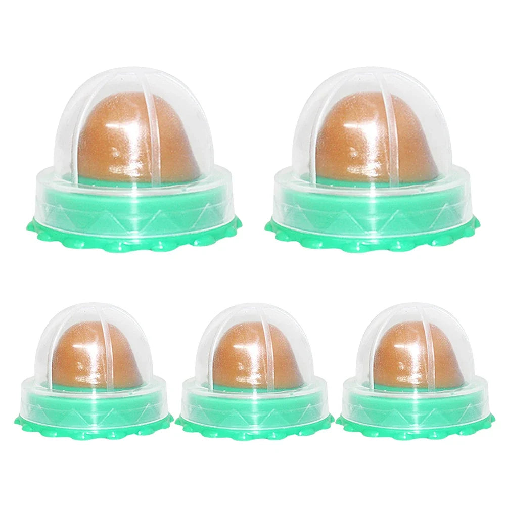 5 Catnip Wall Ball Healthy Nutrition Cat Nip Treats – Cat Supplies