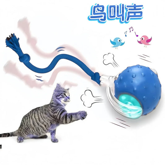 Smart Rolling Ball Cat Toy Interactive Self - ProPawPet.com