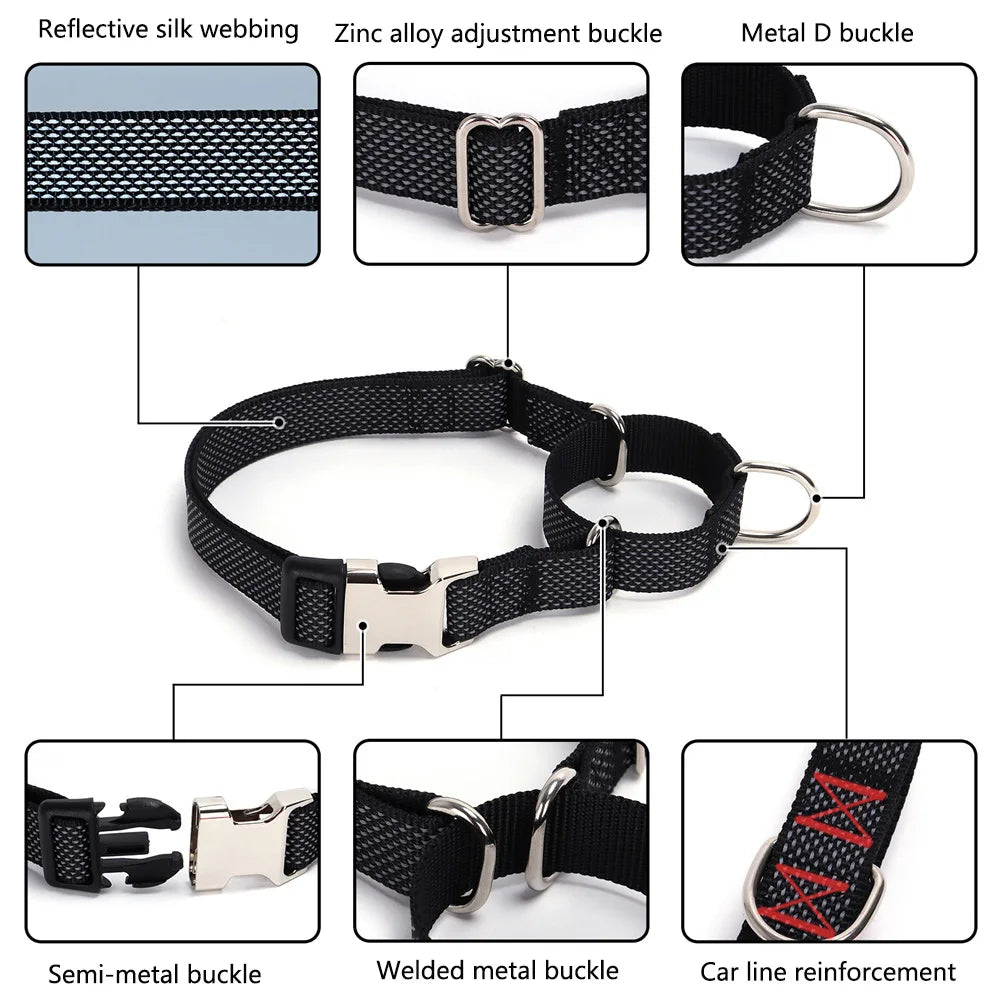 Personalized Martingale Dog - ProPawPet.com