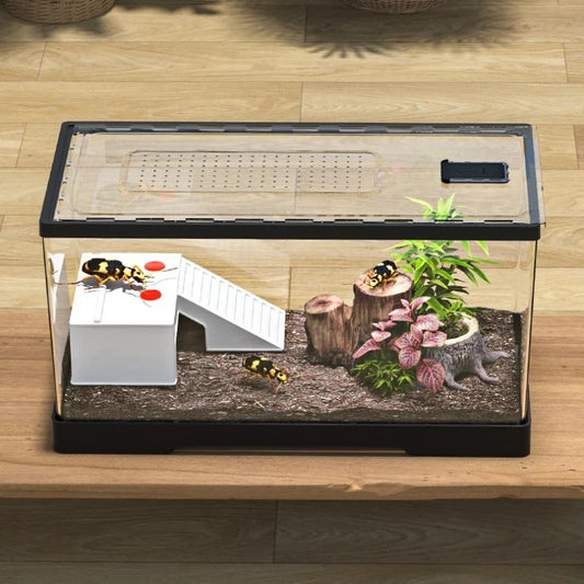 Reptile Terrariums Transparent Acrylic - ProPawPet.com