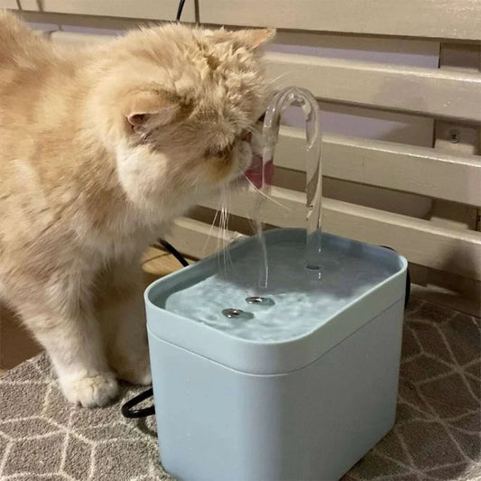 Cat Water Fountain Auto Filter USB Electric - ProPawPet.com