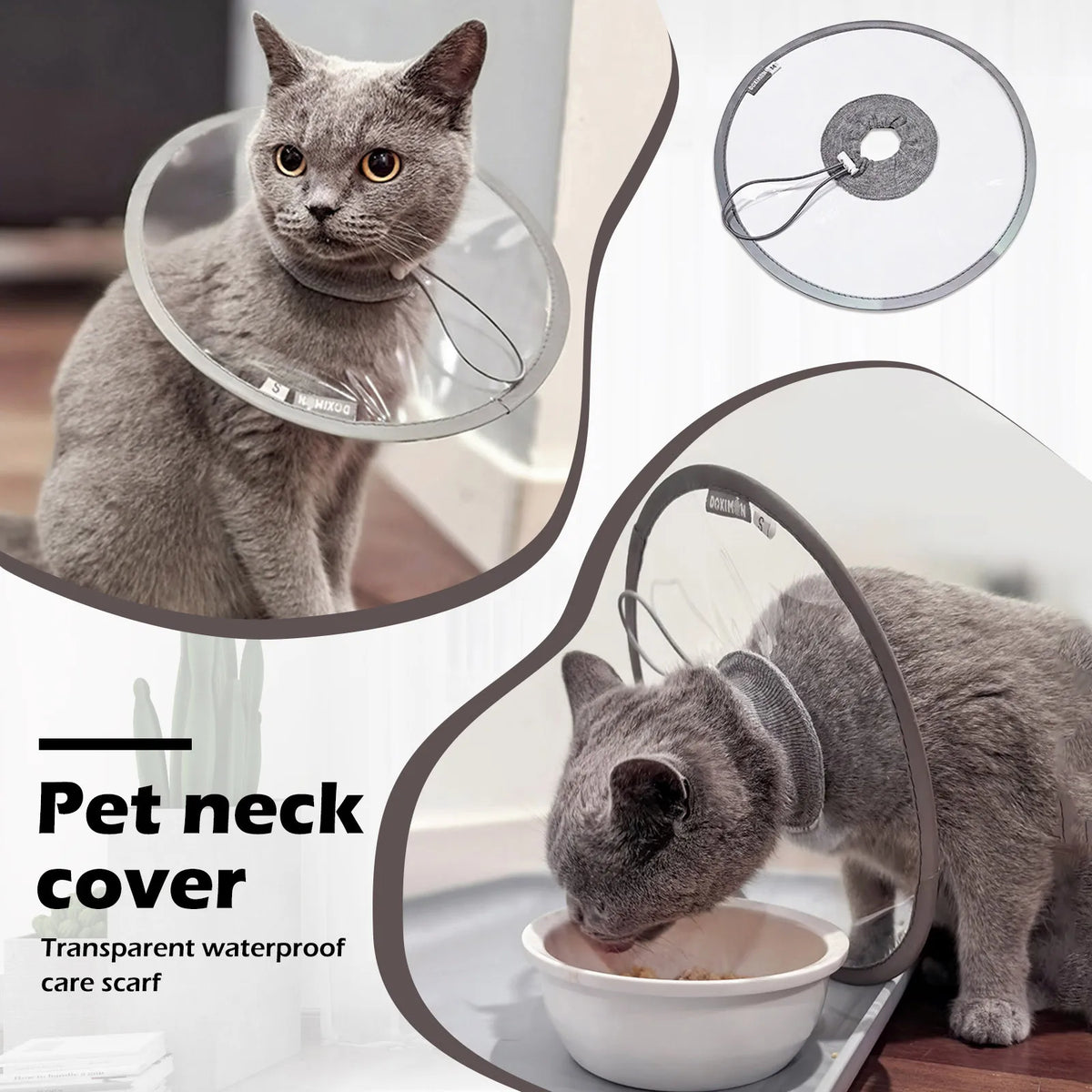  Pet Collar Transparent and Comfortable - ProPawPet.com