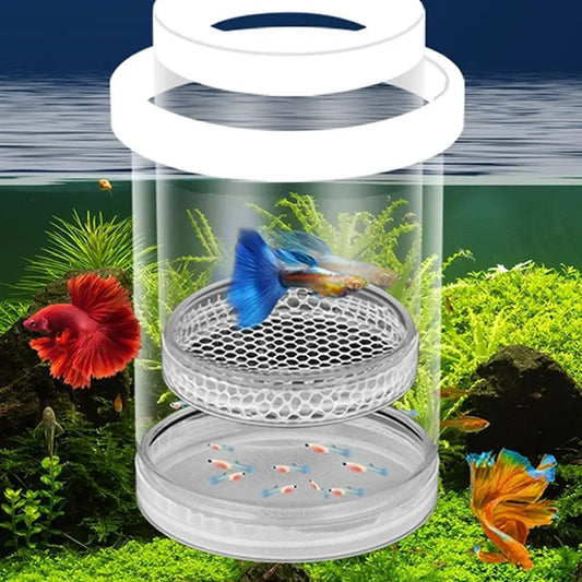 Plastic Floating Fish Breeding Isolation Box - ProPawPet.com