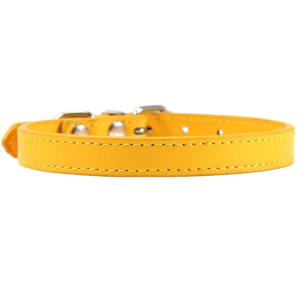 Colorful Leather Puppy Cat Collar Cute - ProPawPet.com