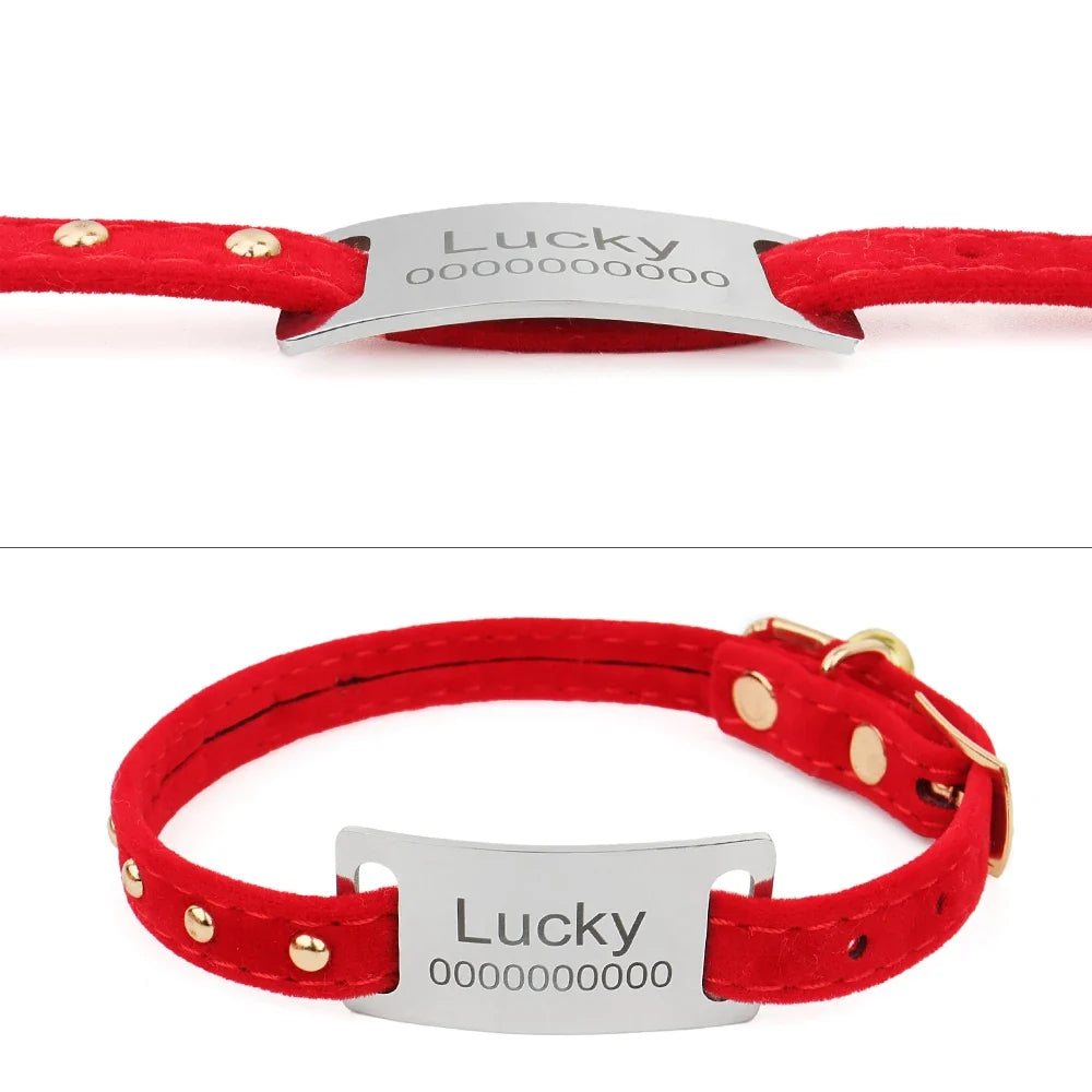 Curved Personalized Name Cat Dog Collar - ProPawPet.com