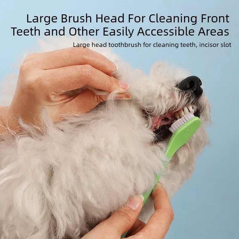 1/5pcs 22cm Handle Tooth Brush For Pet Dog - ProPawPet.com