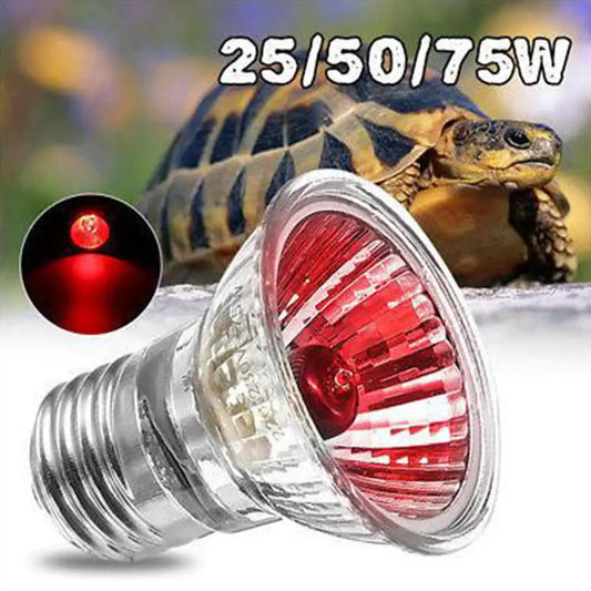 220V 25/50/75W UVA+UVB Reptile Lamp Bulb - ProPawPet.com