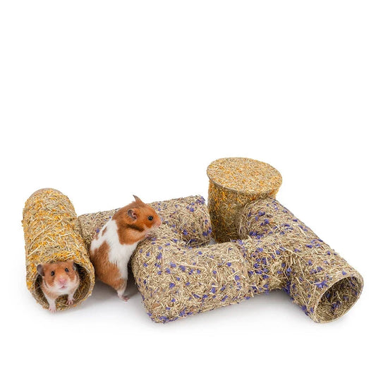 2027 Hamster Tunnel & Grass-Based Modular - ProPawPet.com