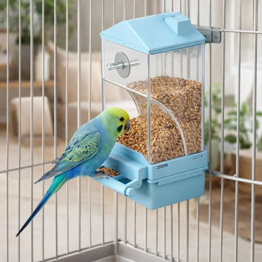 Transparent Automatic Bird Feeder Large - ProPawPet.com