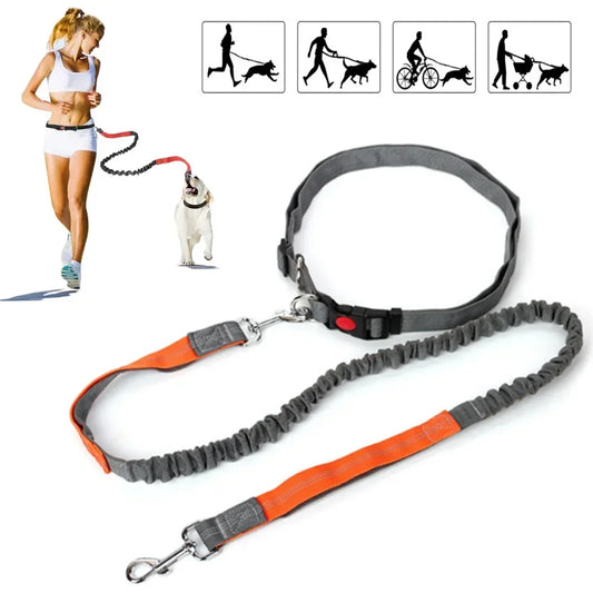 Retractable Dog Leash with Adjustable Waist - ProPawPet.com