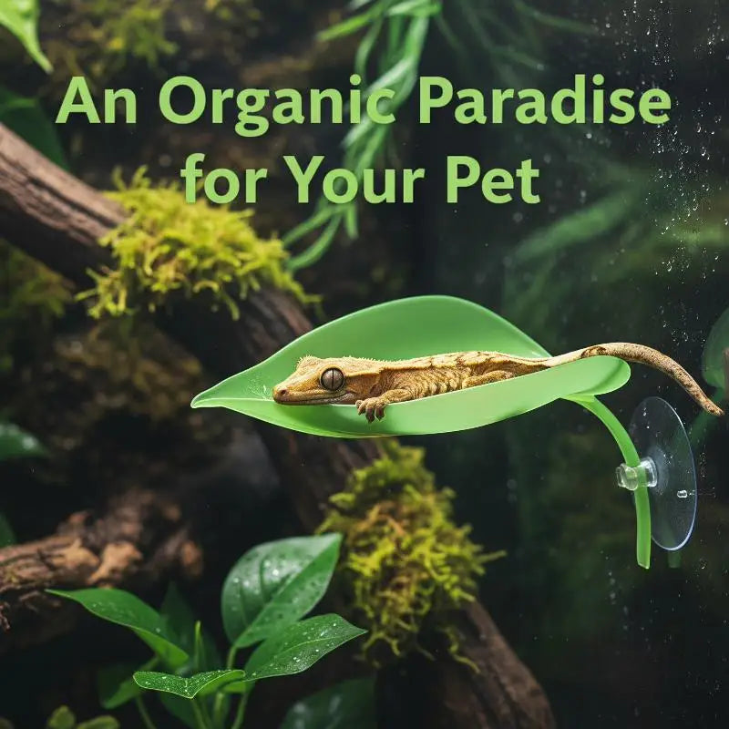 Frog Habitat Suction Cup Reptile Basking - ProPawPet.com