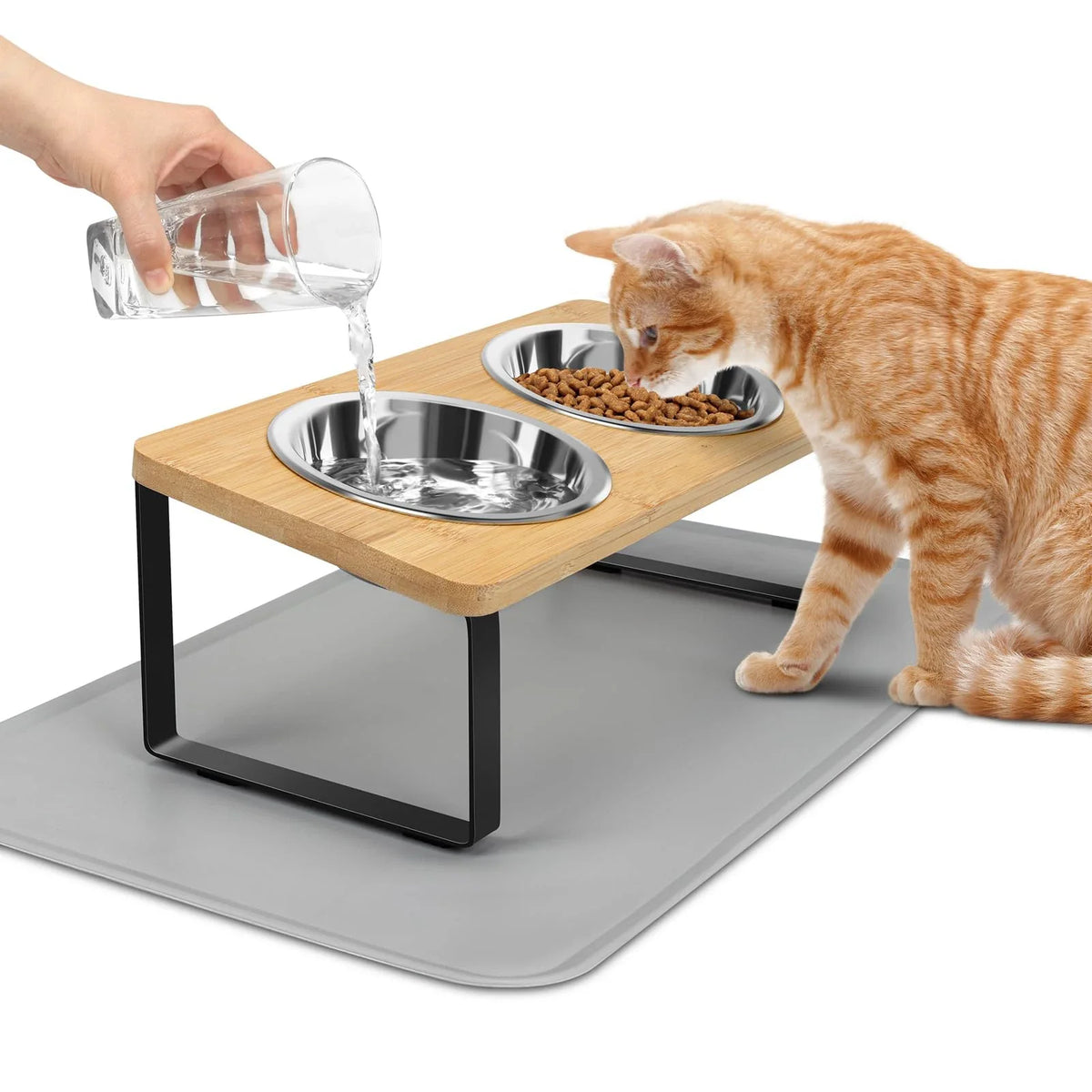 Elevated Cat Bowls with Food Mat 15° Tilted - ProPawPet.com