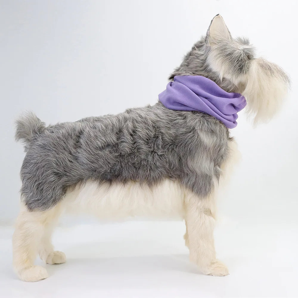 Hat for Dogs Dog Grooming Earmuffs Warm - ProPawPet.com