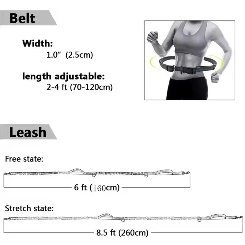 Outdoor Pet Dual Elastic Traction Rope - ProPawPet.com