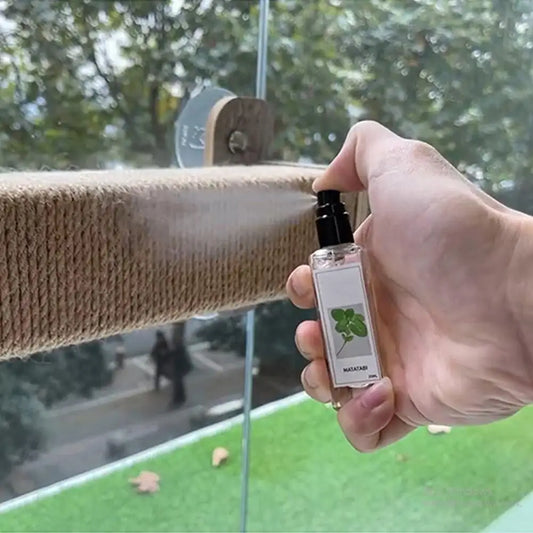 Cat Mint Spray Alleviates Cat's Anxiety and - ProPawPet.com
