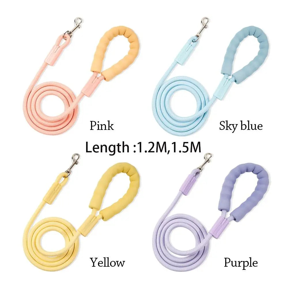 Summer Dopamine Dog Leashes Durable with - ProPawPet.com
