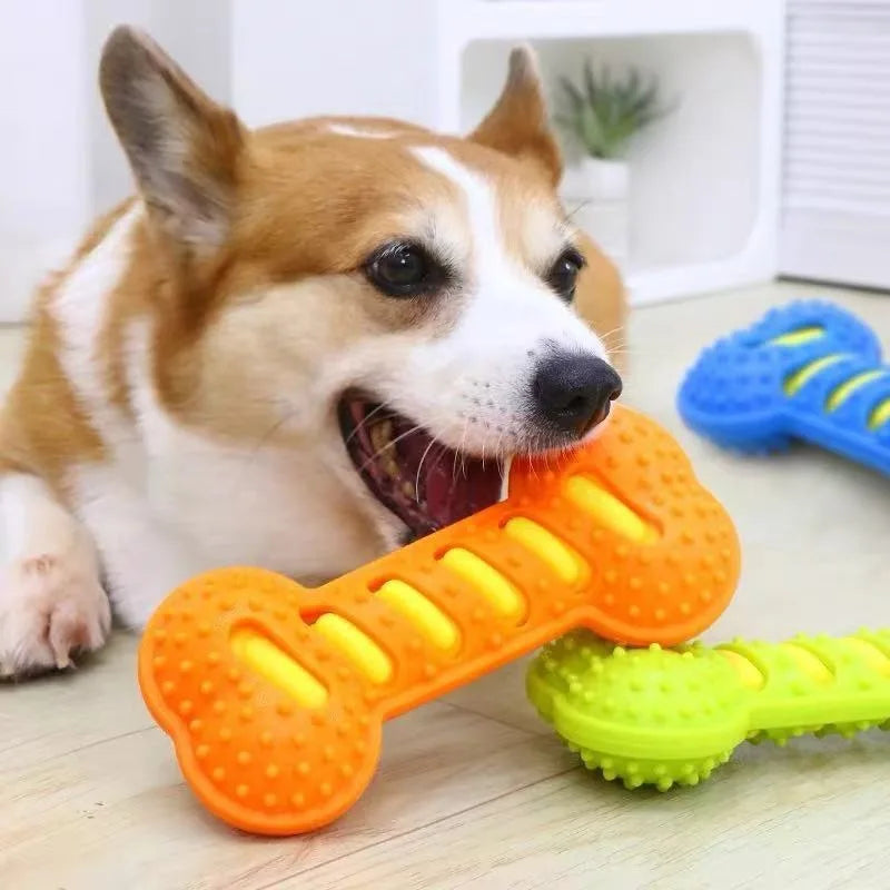 Dog Rubber Bone Chew Toy Squeaky Bite - ProPawPet.com