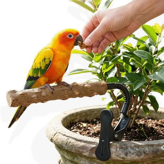 Portable Natural Wood Bird Perch Stand - ProPawPet.com