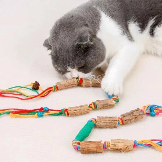 New Natural Cat Chew Toy Matatabi Stick - ProPawPet.com