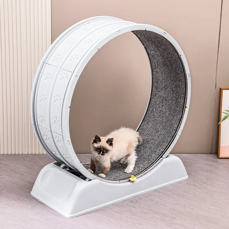 Pet Supplies Dog Fitness Sports Mute Large - ProPawPet.com