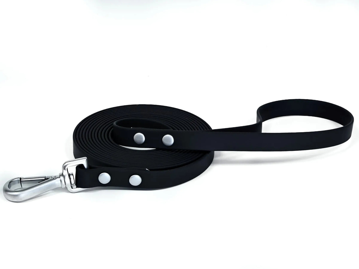 Studded Rivet PVC Dog Leash Waterproof - ProPawPet.com