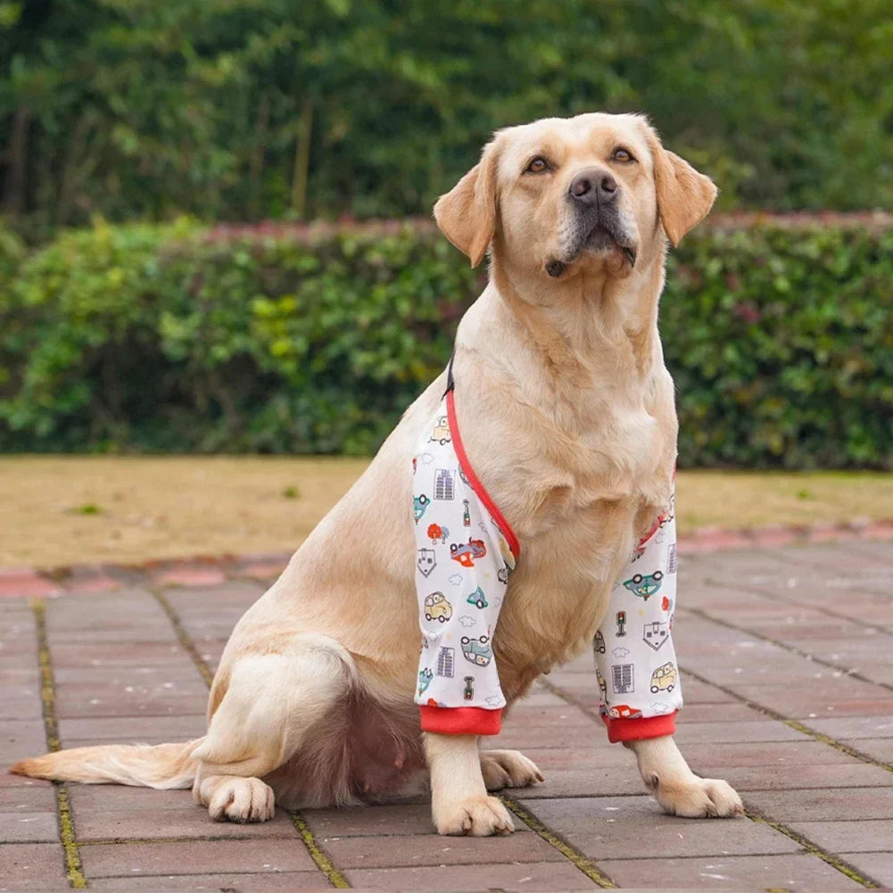 Pet Knee Pads for Joint Injury Recovery Legs - ProPawPet.com