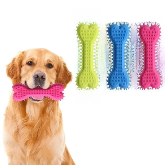 1/3pcs Pet Bone Shaped Dog Chew Toys Teeth - ProPawPet.com