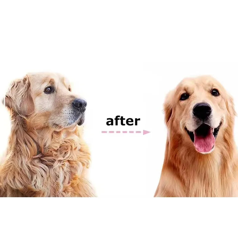 Professional Pet Deshedding Brush 2 Sided - ProPawPet.com